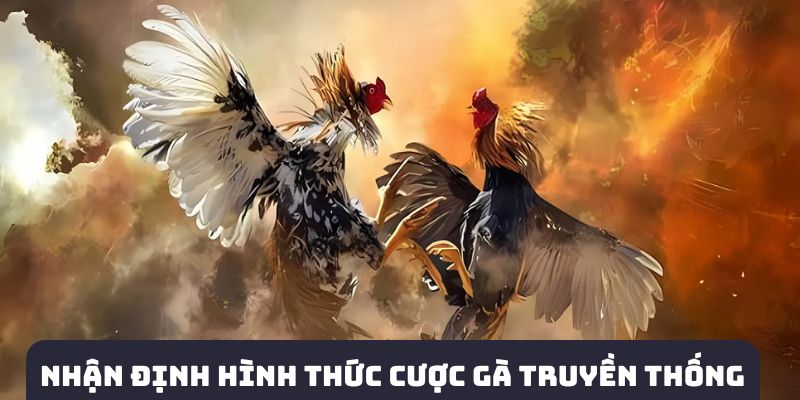 Nhận định hình thức đặt cược gà truyền thống