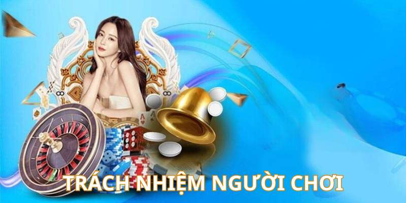 Thành viên có trách nhiệm như thế nào trong quy định tham gia trách nhiệm