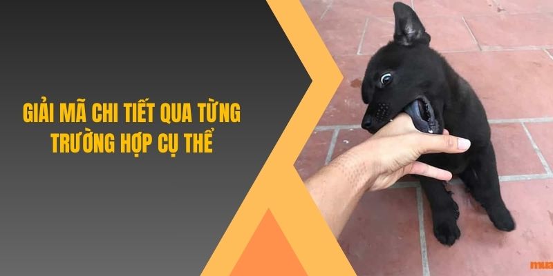 Giải mã chi tiết qua từng trường hợp cụ thể